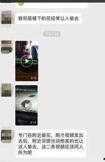 大盗爆料视频,揭秘神秘盗贼团伙的惊心动魄内幕 第3张 大盗爆料视频,揭秘神秘盗贼团伙的惊心动魄内幕 第3张